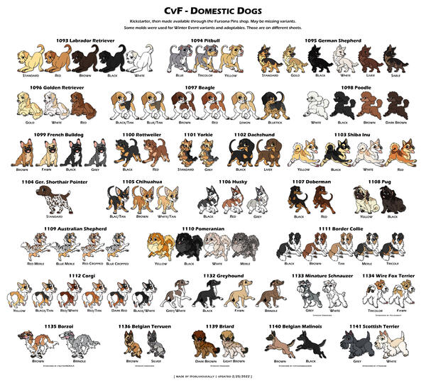 Domestic Dogs
